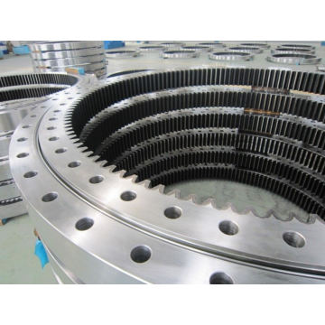 YRT150 Slewing Ring Bearing