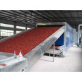 American ginseng conveyor belt dryer