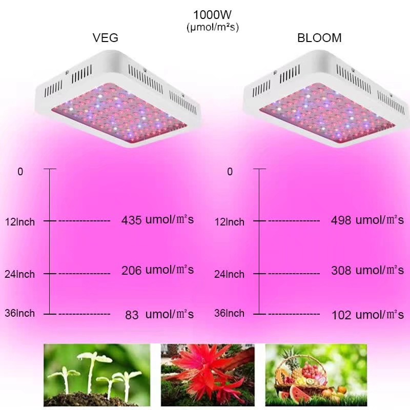 double switch veg bloom