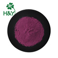 Wholesale blueberry extract blueberry fruit powder