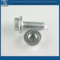 1000 Hours Anti-Corrosion Organic Coated Bolt Nut