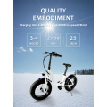 350W 36V 8Ah 25km/h Electric Bicycle