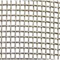 Galvanized Wire Mesh