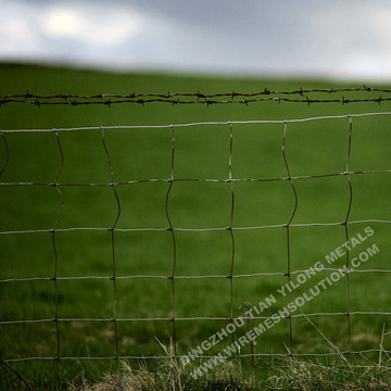 Hot Dipped Galvanized Hinge Knot Field Fence