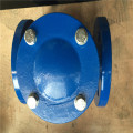 Swing Check Valve