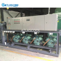 Cold Storage Compressor Refrigeration Condensing Units