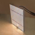 Квантовая плата Grow Light Samsung 561C High Ppfd