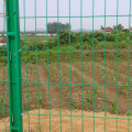 Galvanized Double Wire Fence Panel