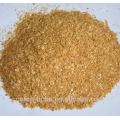 Corn gluten feed humide prix