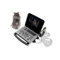 Notebook Color Doppler Ultrasonic Machine for Animals