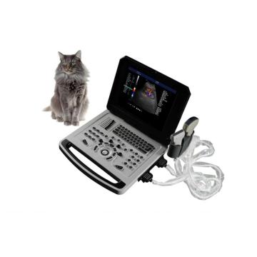 Notebook -Farbe Doppler Ultraschallmaschine für Tiere