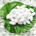 Eco-Friendly Fresh Natural Silk Beauty Cocoons for Facial Scrub