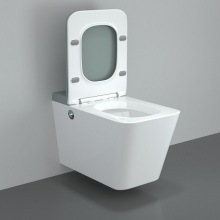 Europe Design Economic Modern Bathroom Rimless Toilet