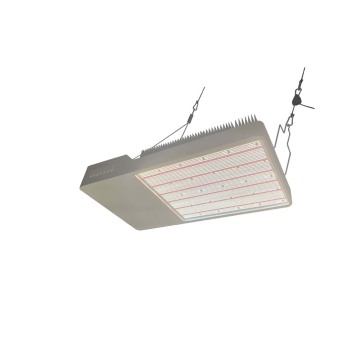 Hochleistungs 800W Vollspektrum -LED Wachsen Licht