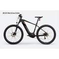 Customized Specialized Electric Mountain Bike