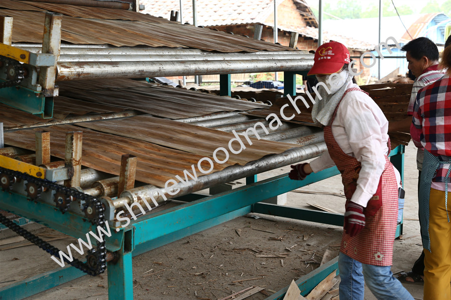 Plywood Veneer Drying Lines