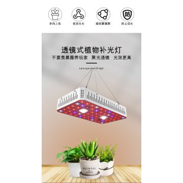 1000W Cob LED Grow Light