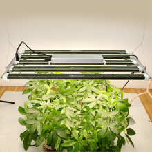 5x5 pies LED Grow Light LM301H UV IR