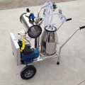 Milking machine with vacuum pump motor