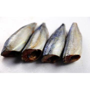 Fresh Sea Frozen Mackerel HGGT