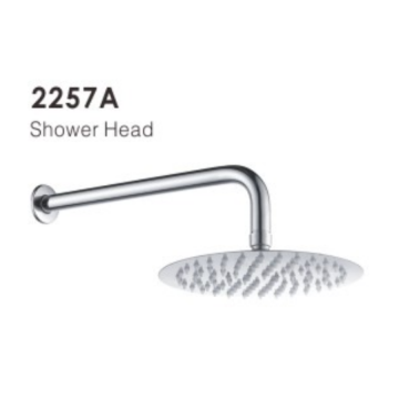 Tête de douche de la salle de bain 2257A