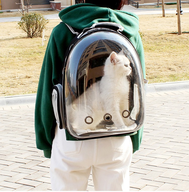 Pet Panorama Transparent Capsule Out Backpack Cat Backpack2