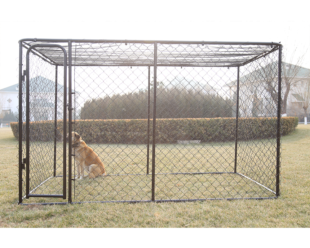 Chain Link Dog Kennel