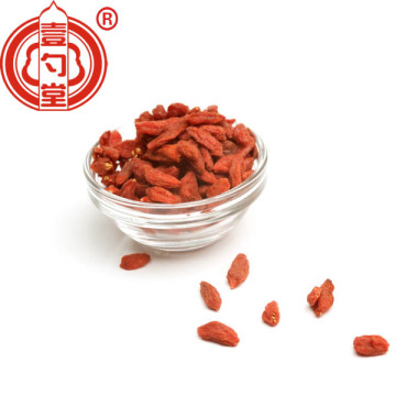 Superfood Goji Berry Dried Fruit