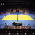 Indoor Multi-sports court pvc sports court flooring prices