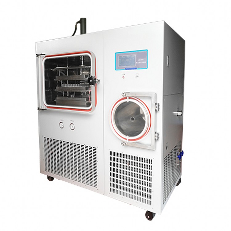 Freeze Drying Equipment