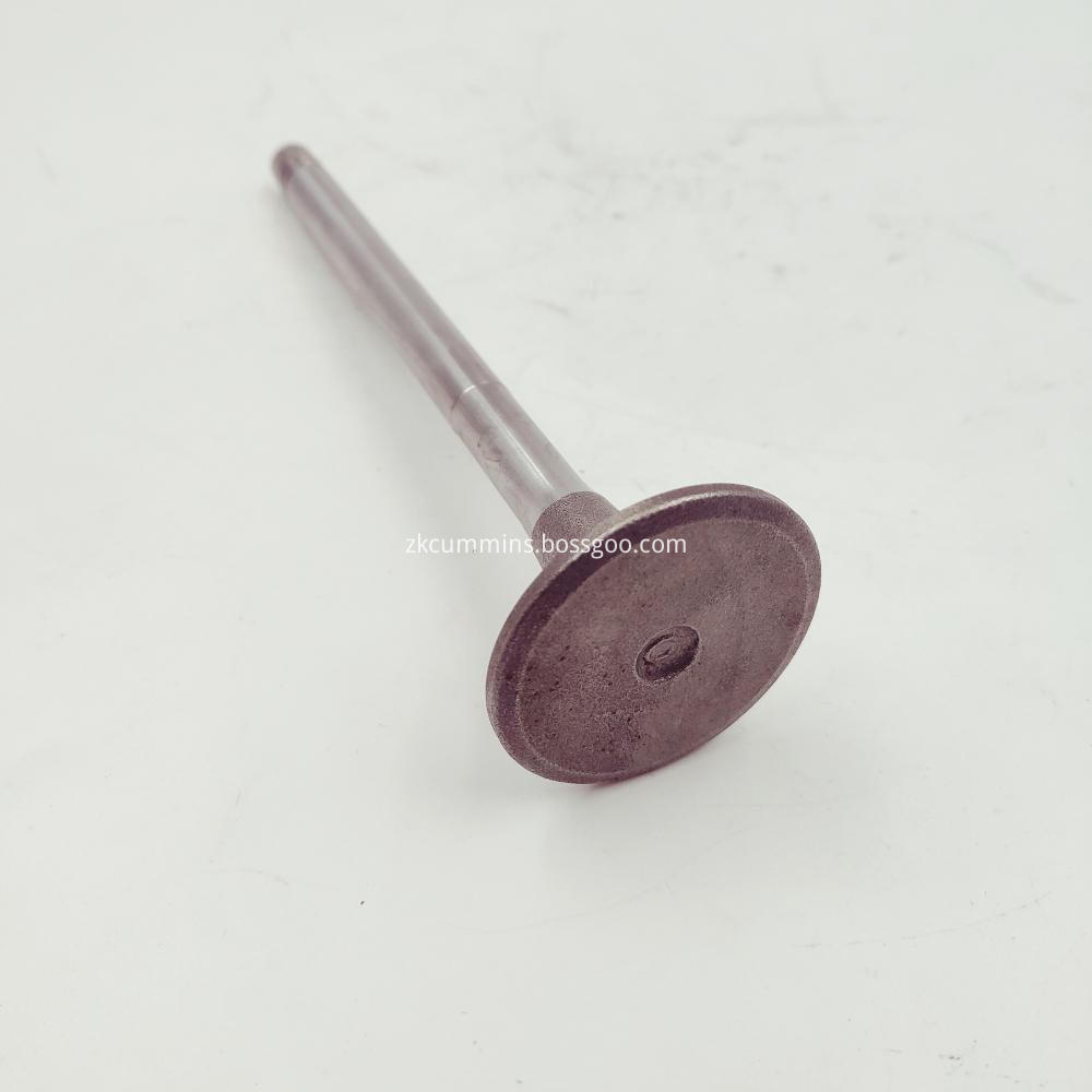 NT855 Intake valve 135957