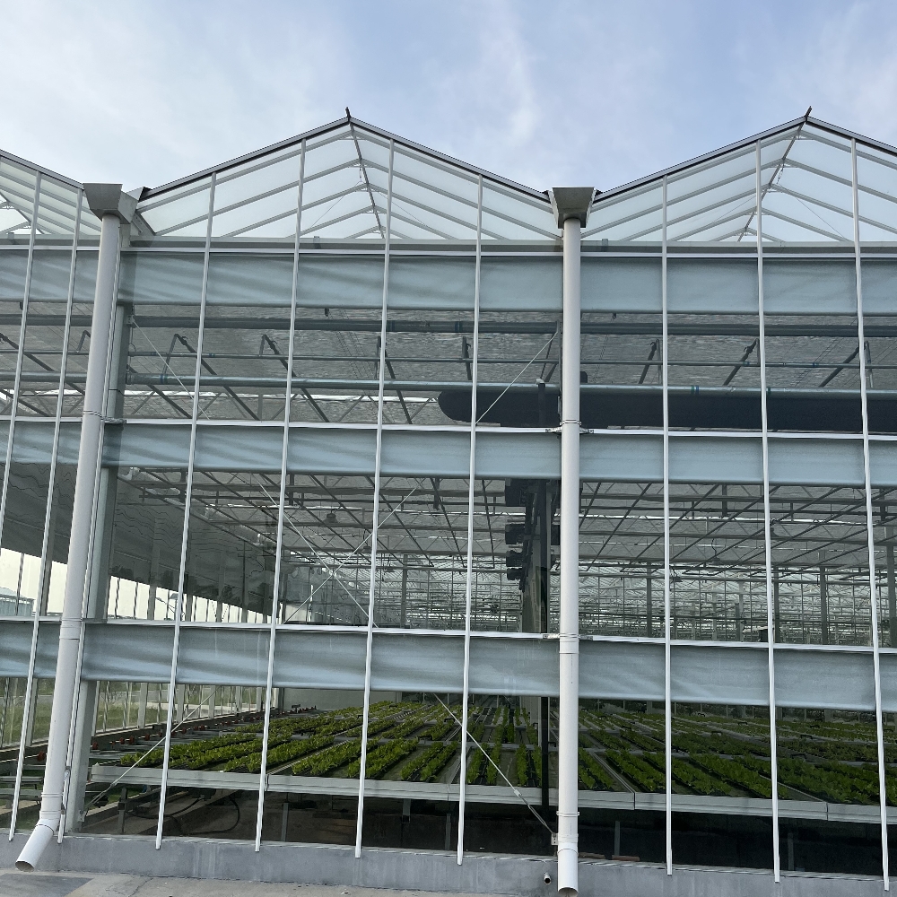 Venlo Glass Greenhouse Venlo Glass Greenhouse