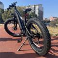 BAFANG 48V 750W Mid Motor Mountain Bike Bike Full Suspension