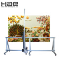 Direct Wall Inkjet Printer For Wall Mural Decorating