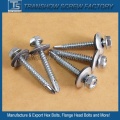 Galvanized Steel Roofing Screw SDS