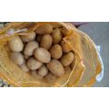 2016 neue Ernte Fresh Potato Shandong