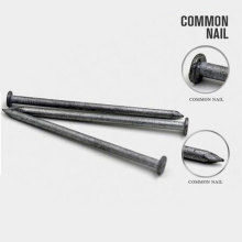 Professional Price of Common Iron Nail From China