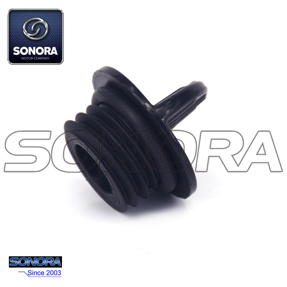 Oil Filler Plug (6)