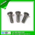 Stainless Steel Flat Head Carriage Bolt M6