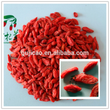 China getrocknete Mispel / Chinese Wolfberry Exporteur / getrocknete Goji-Beere