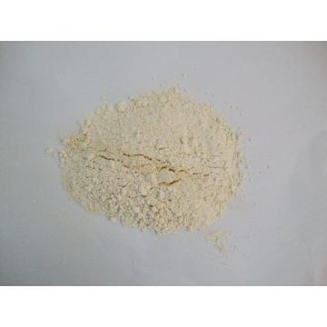 Dehydrated White Onion Powder