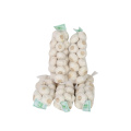 Super Quality Chinese Fresh Garlic to Europe Market