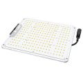 100W Square LED Grow Light