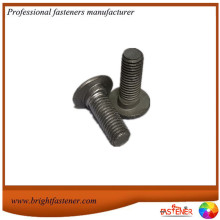 Hot Dip Galvanizing Gr.4.8 Guardrail Bolts