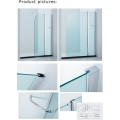 8mm Glass Epick Sanitary Ware / Shower Door (Cvp010)