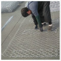 Welded Wire Mesh Roll Garden Gabion