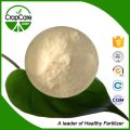 100% Soluble em Água NPK 19-19-19 Fertilizante