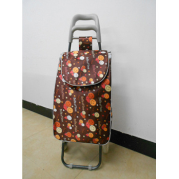 Factory outlet characteristic luggage carrier