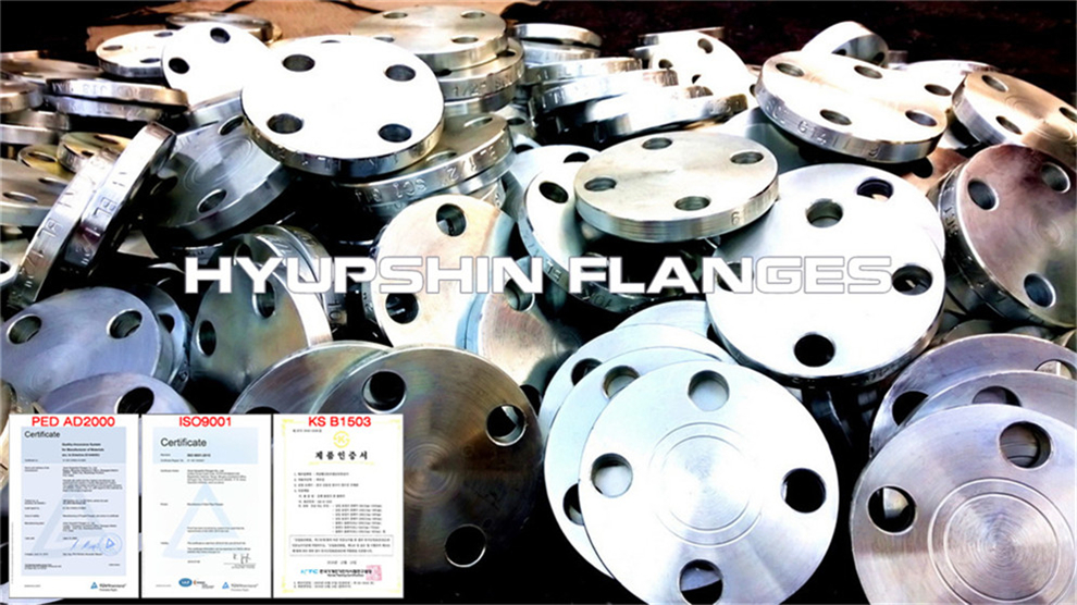 Hyupshin Flanges 10k 5k Blind