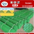 Protecting Vegetation Plastic Geomat to Fixed Water and Soil